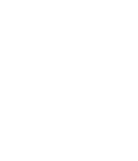 HEIST Logo